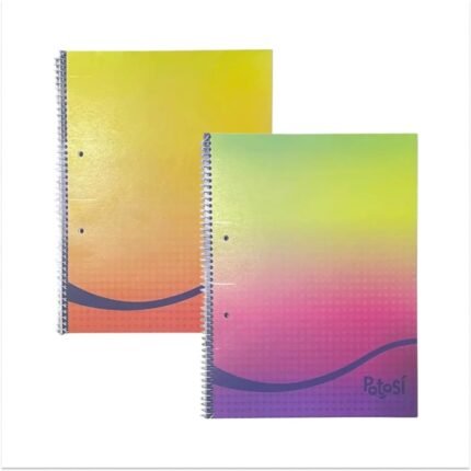 CUADERNO POTOSI 29.7 80 H ESPIRAL DEGRADE (22.3X29.5 CM) RAYA